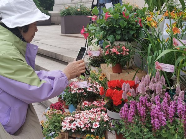 373种新优植物“选秀”，不怕“蒸桑拿”还能超长待机